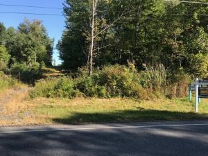 Adirondack Homes For Sale Find The Right Home Business Land Or