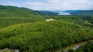 Adirondack Real Estate Houses For Sale Including Lakefront