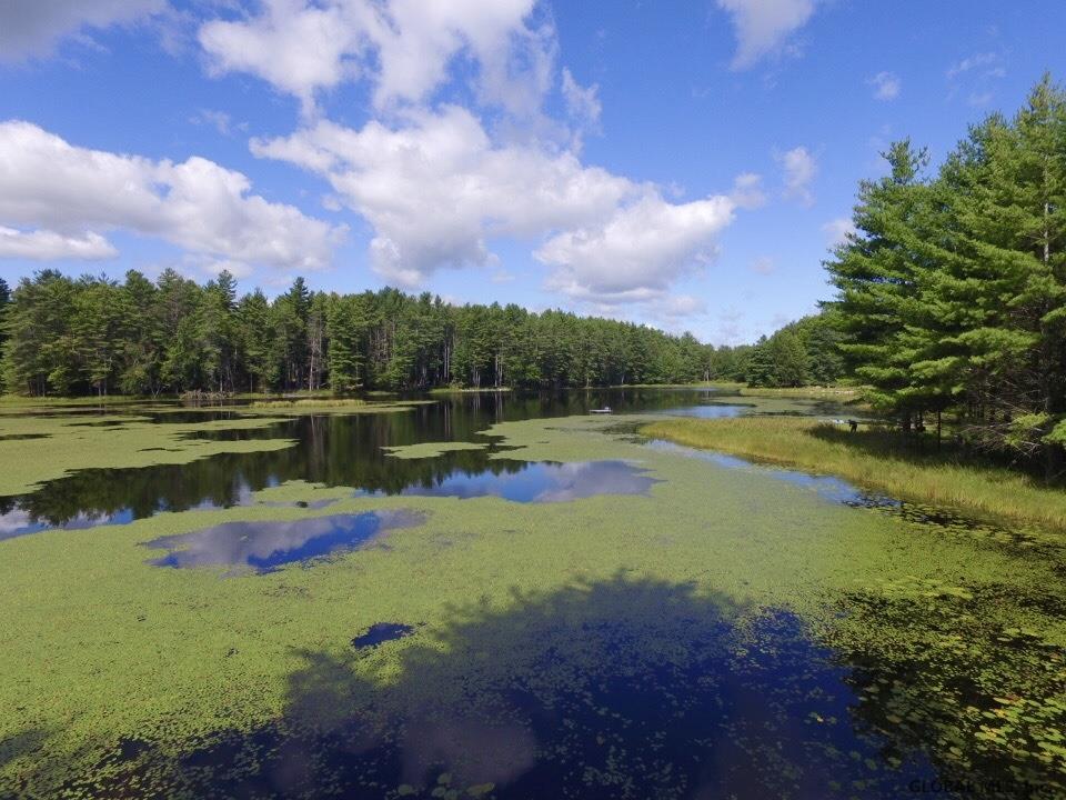 ANTLER LAKE RD in Johnsburg, NY Listed For 99,900.00 by Nicolas
