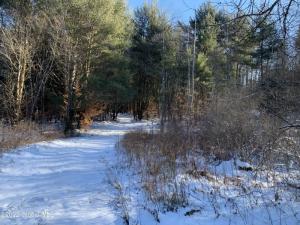 Lot 1 Voorhees Road, Dolgeville, NY 13329