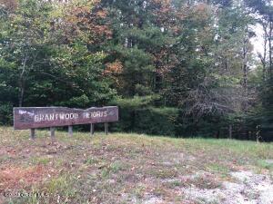 71.12-1-2 Brantwood Heights Road, Brant Lake, NY 12815