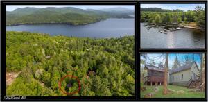 9 Pine Lane, Adirondack, NY 12808