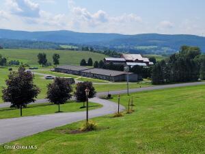 112 Ash Meadows, Howe Cave, NY 12043