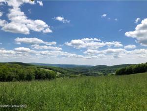 L22.07 Nersesian Road, Hartwick, NY 13348