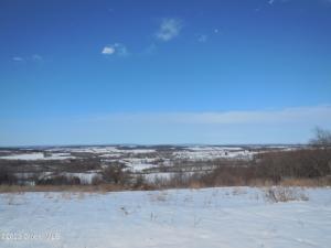 L8.01 Barringer Road, Cherry Valley, NY 13320