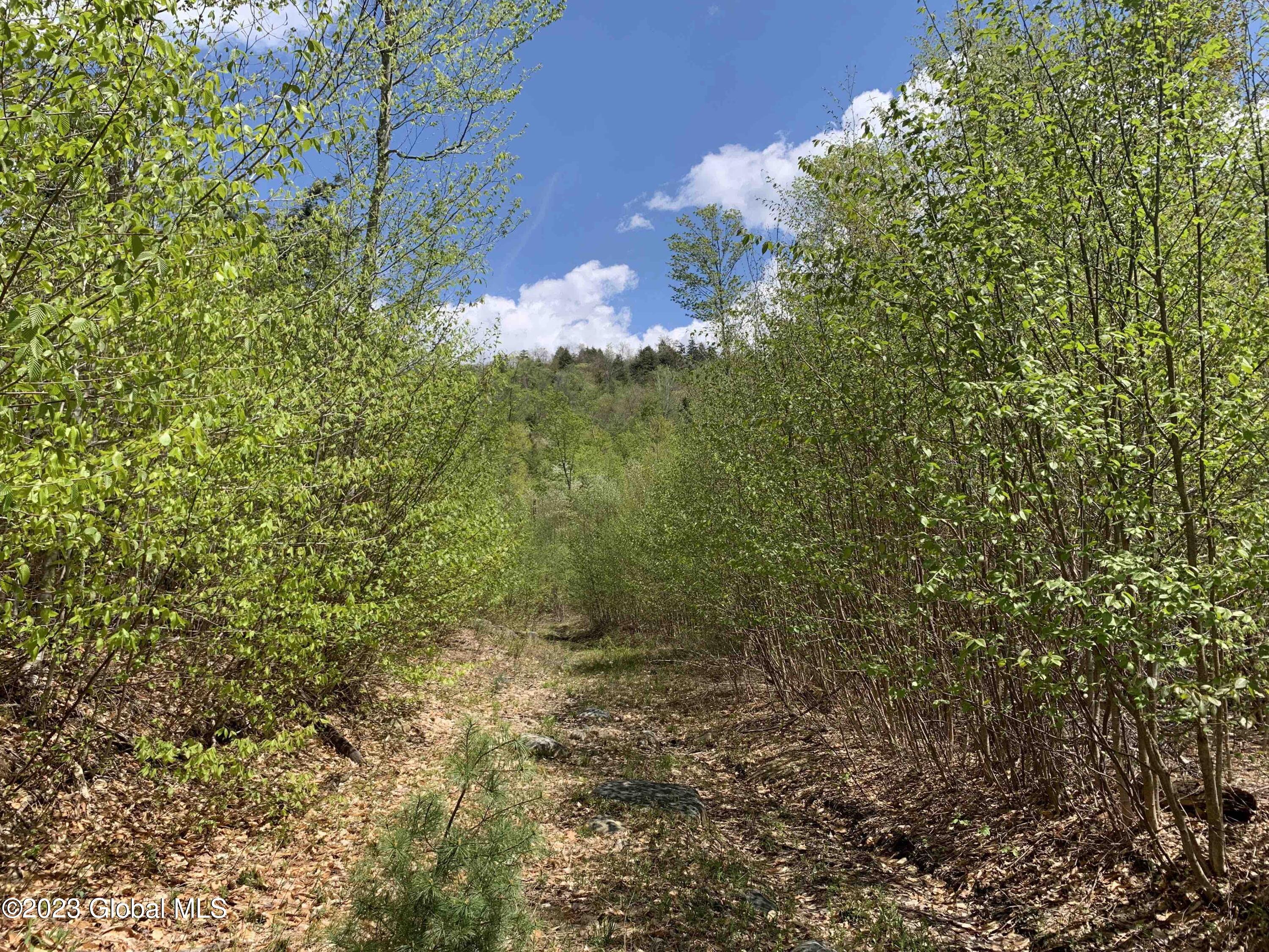 L1 Viele Pond Road in Lake NY Listed For 259,800.00 by Daniel