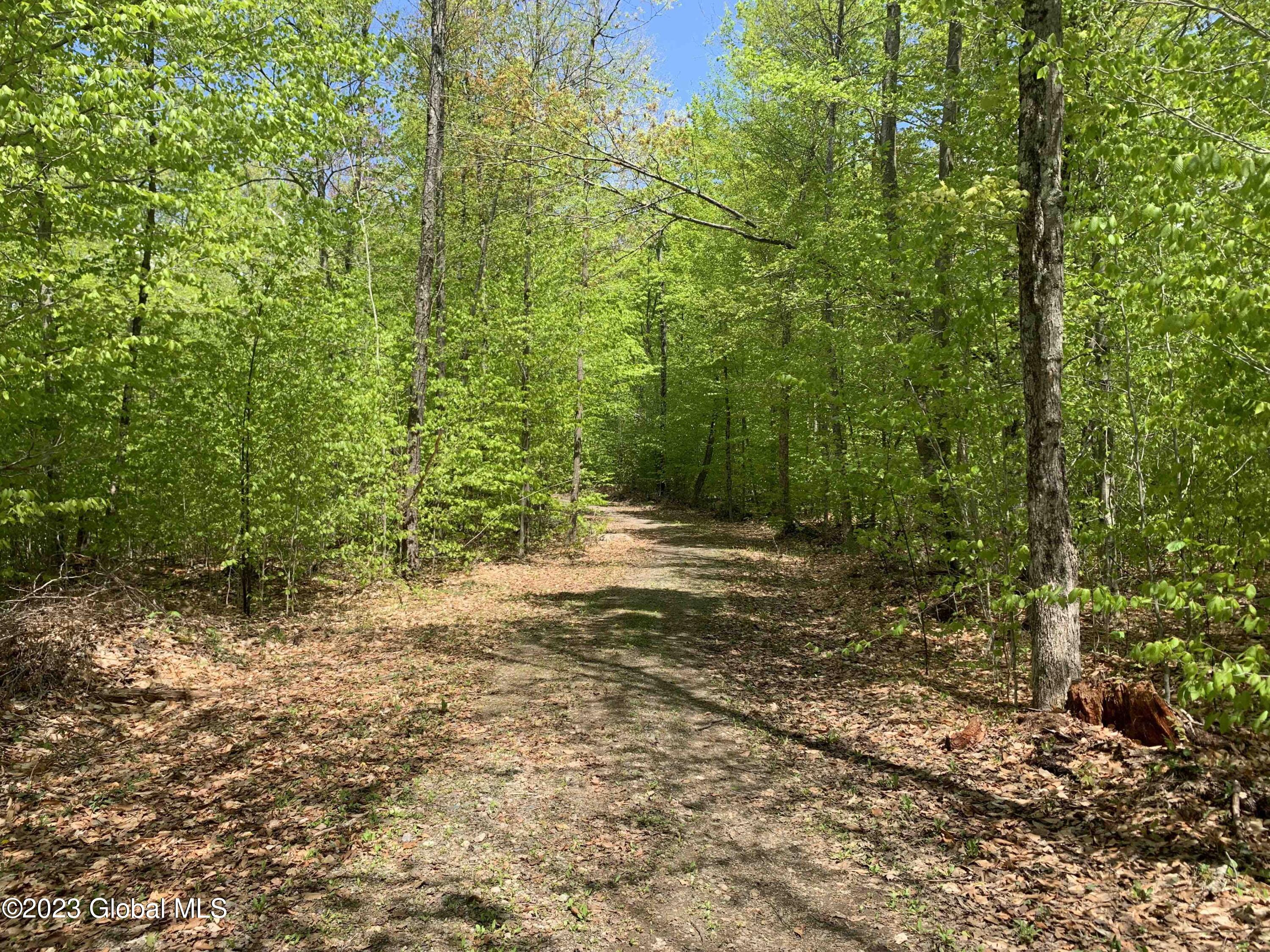 L1 Viele Pond Road in Lake NY Listed For 259,800.00 by Daniel