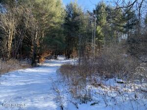 Lot 1 Voorhees Road, Dolgeville, NY 13329