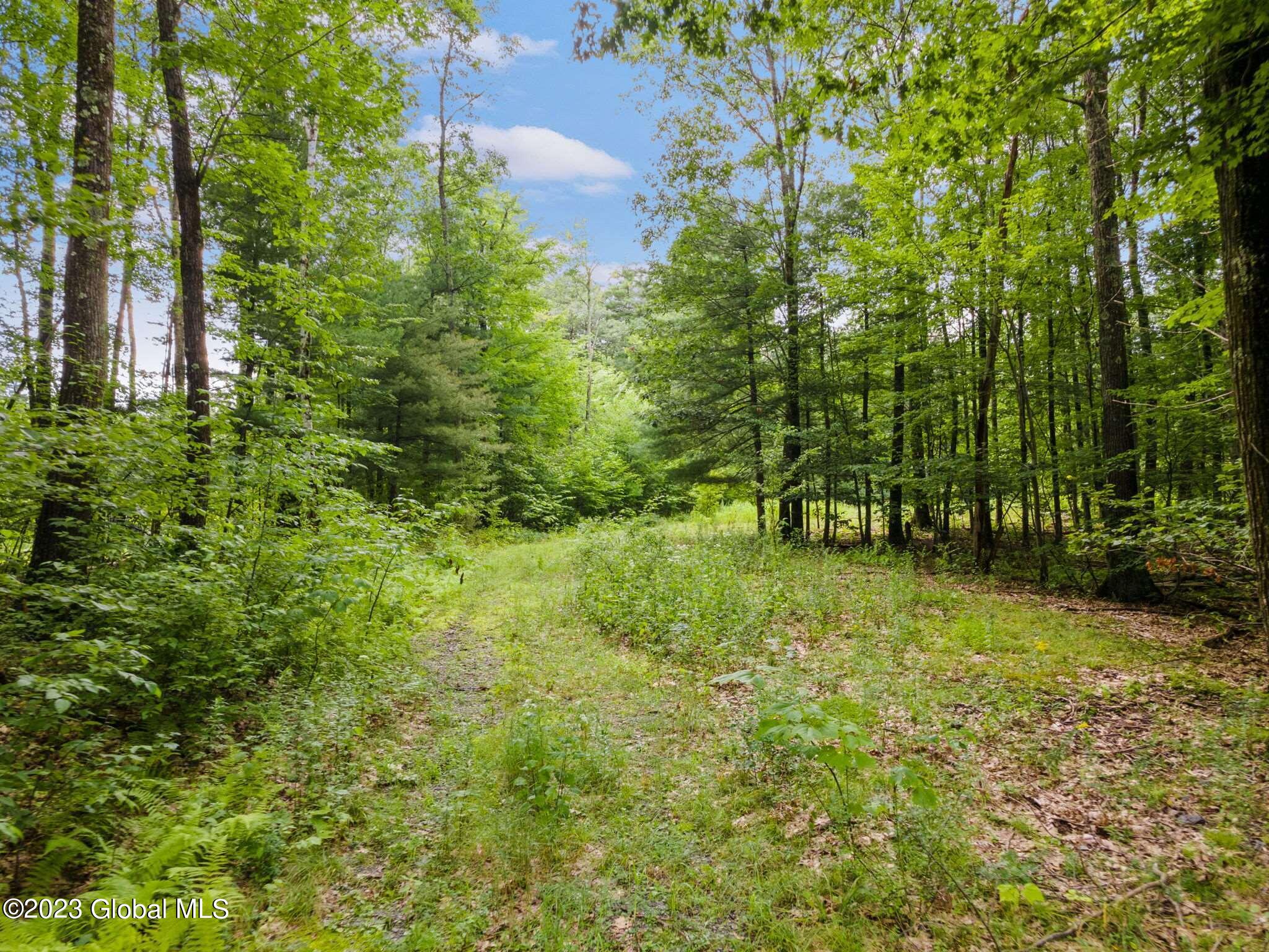 House For Sale Mcgill Road at Mary Stoller blog