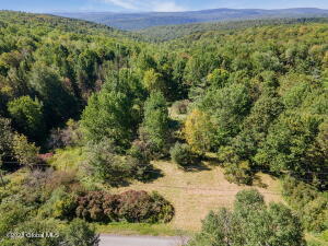 L5 Tower Road, Warnerville, NY 12187