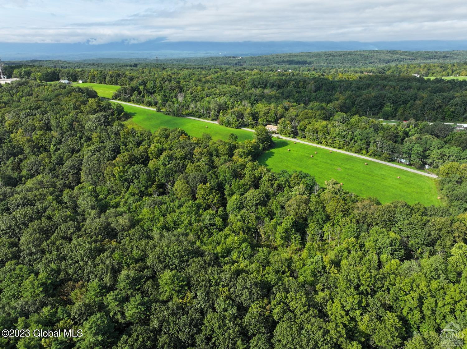L18 King Hill Road in Greenville, NY Listed For 200,000.00 by Dave