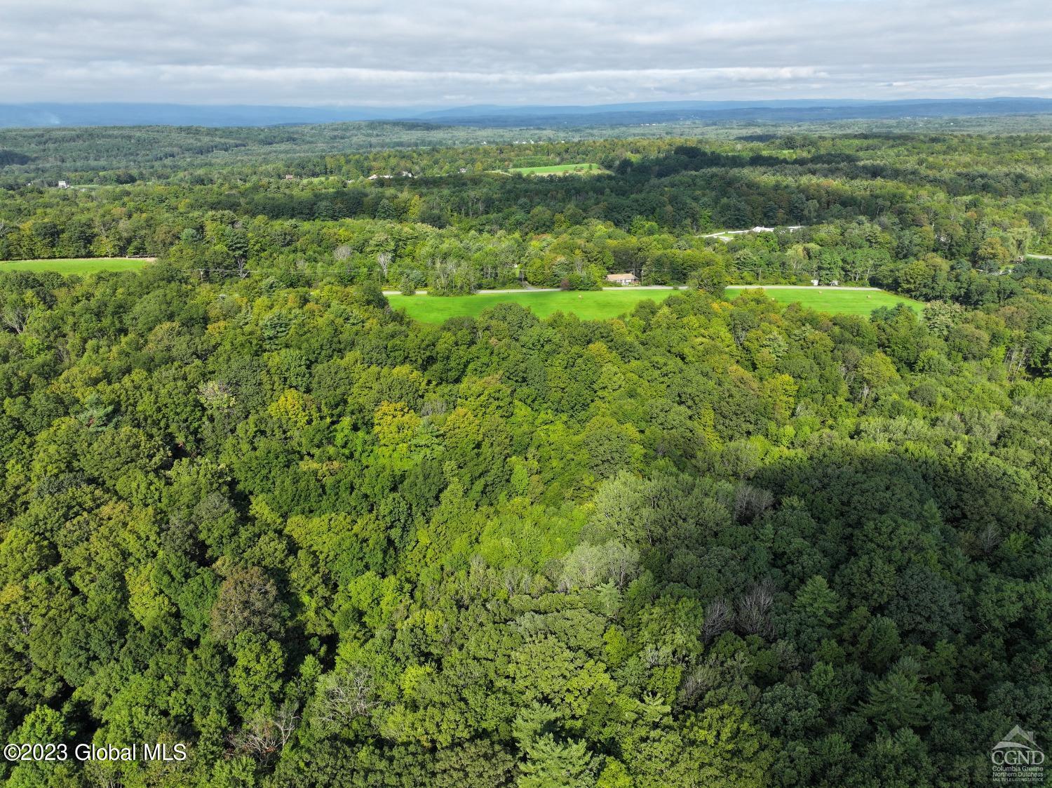 L18 King Hill Road in Greenville, NY Listed For 200,000.00 by Dave