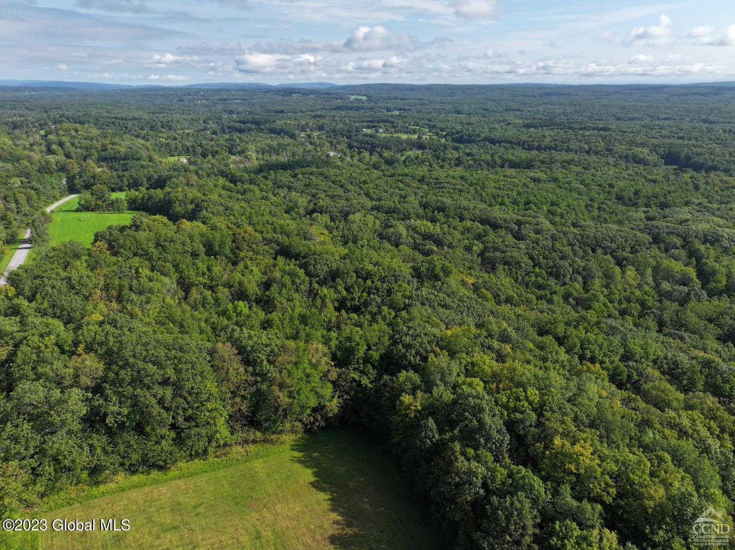 L18 King Hill Road in Greenville, NY Listed For 200,000.00 by Dave