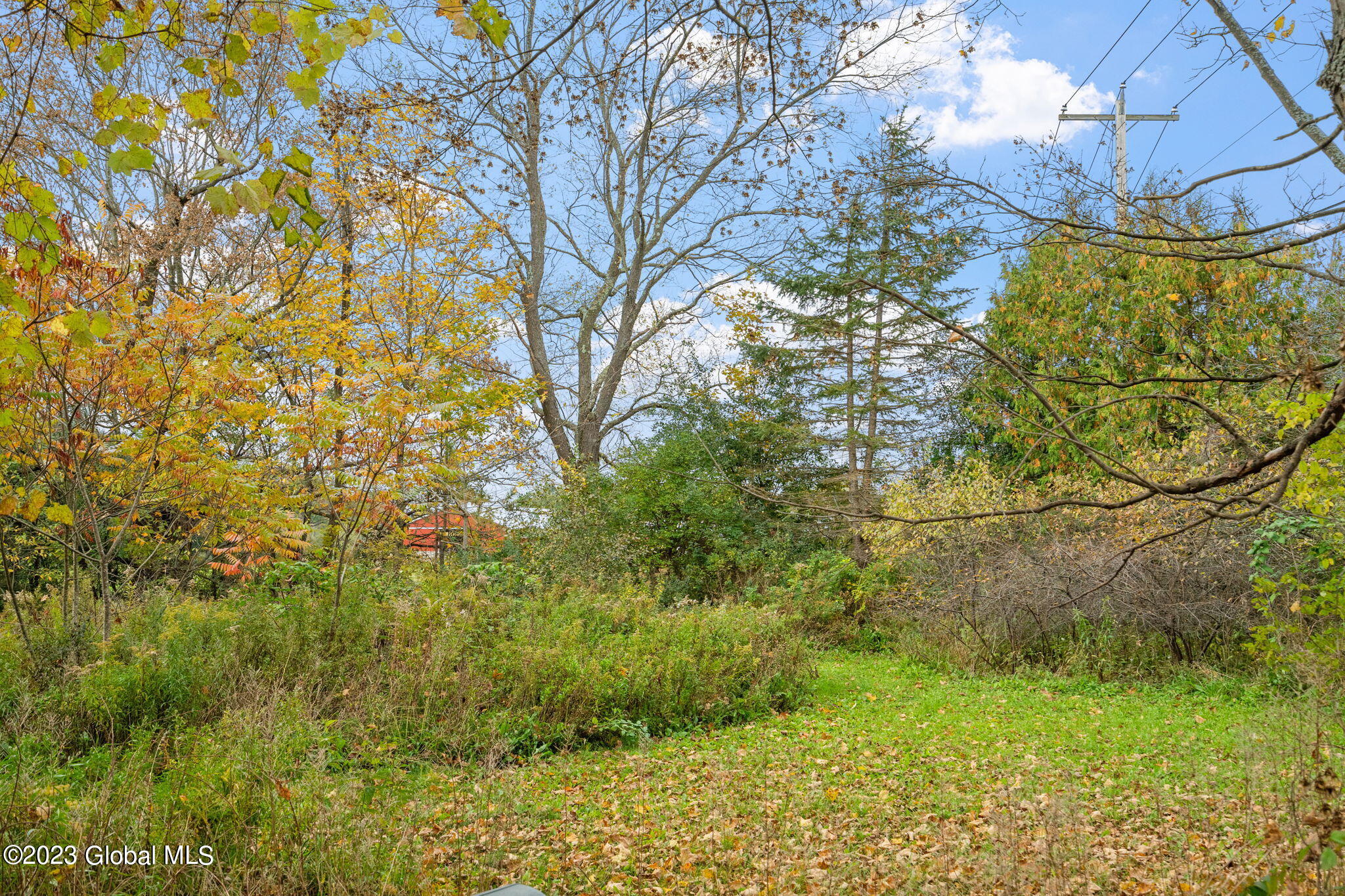 1968 Berne Altamont Road in Altamont, NY Listed For 330,000.00 by