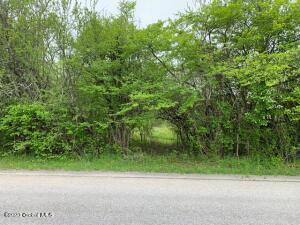 Lot 1 Wells Road, Pattersonville, NY 12137