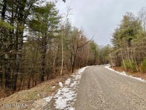 L67 Old Ghost Road, Canaan, NY 12125