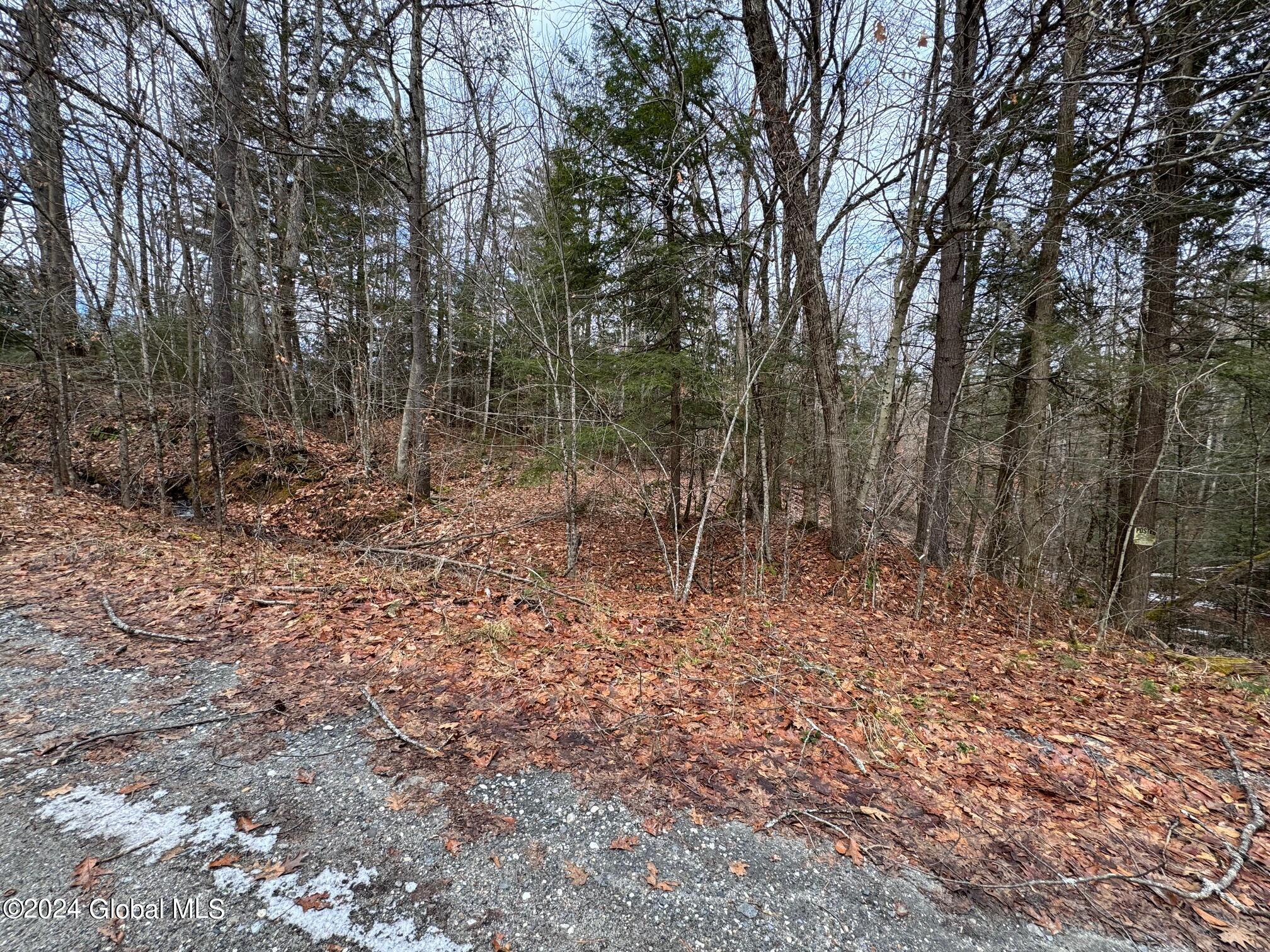Adirondack Real Estate Zillow - 0ixx39c