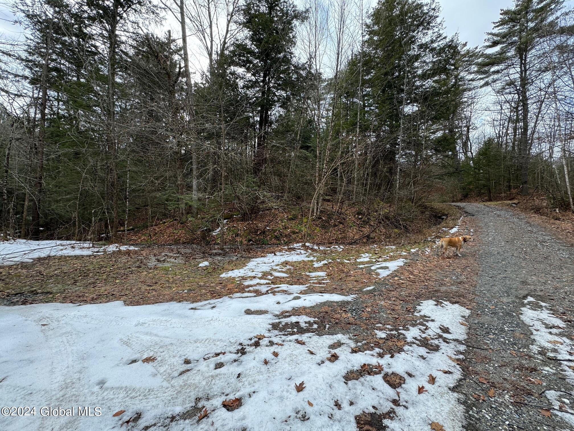 Adirondack Real Estate Zillow - 0e72rl3