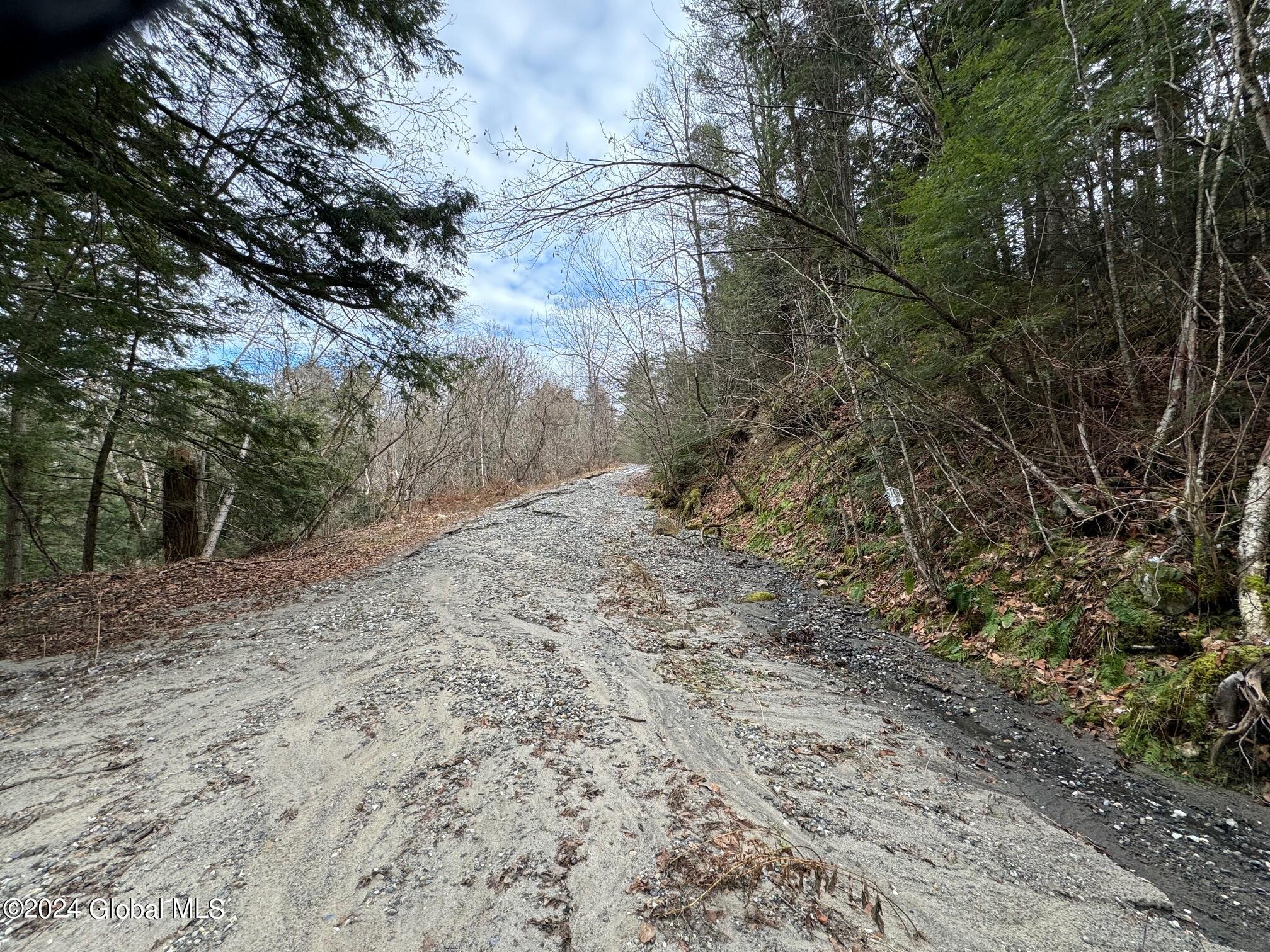 L14.000 Lang Road in Moriah, NY Listed For 49,000.00 by Brenda Wells for Glebus Realty Inc. at