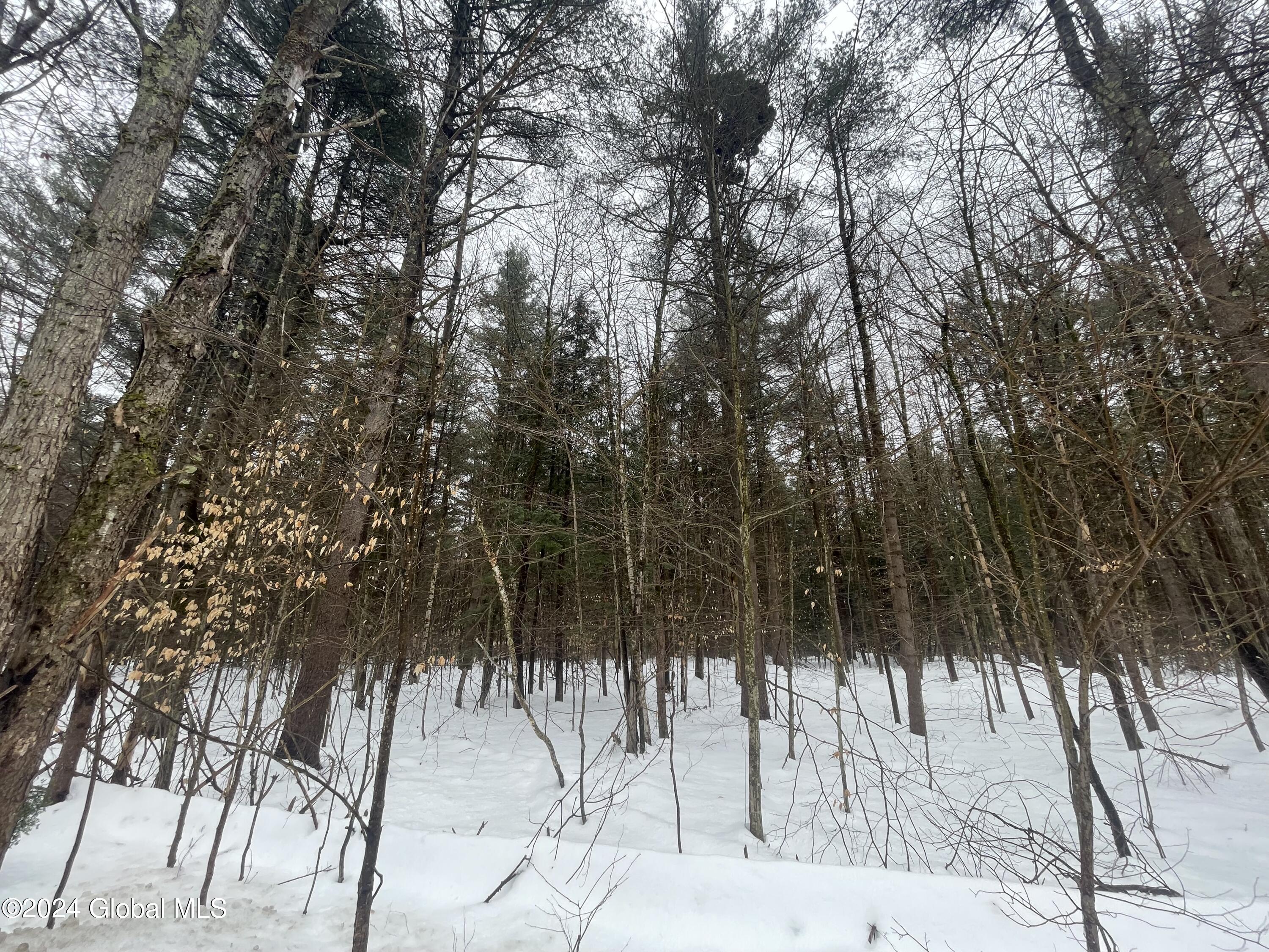 74 Alpine Meadows Road in Porter Corners, NY Listed For 60,000.00 by