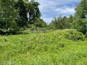 Lot 3 Halterman Rd NY 12832