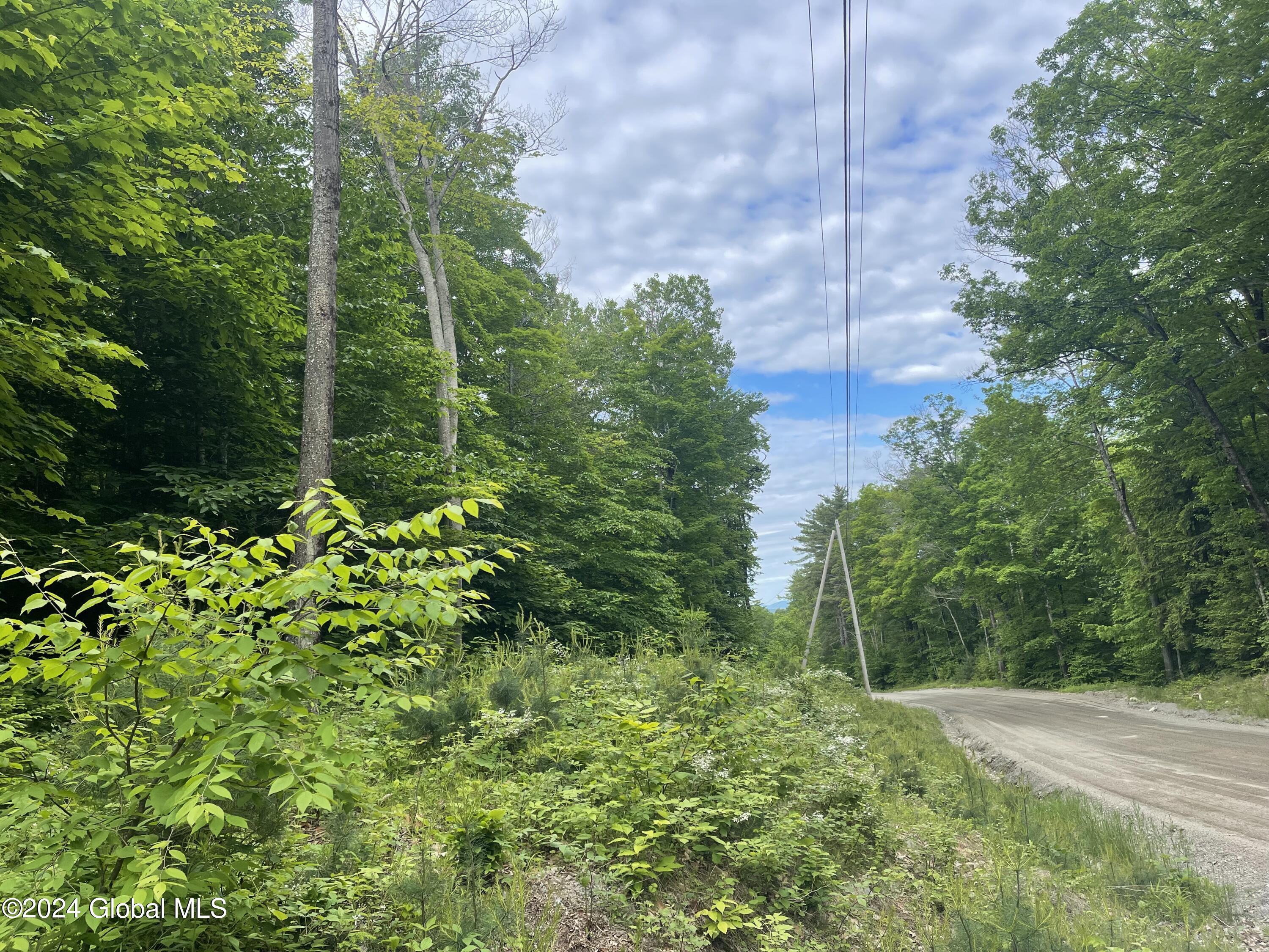 L79 Harris Road in Brant Lake, NY Listed For 115,000.00 by Julia