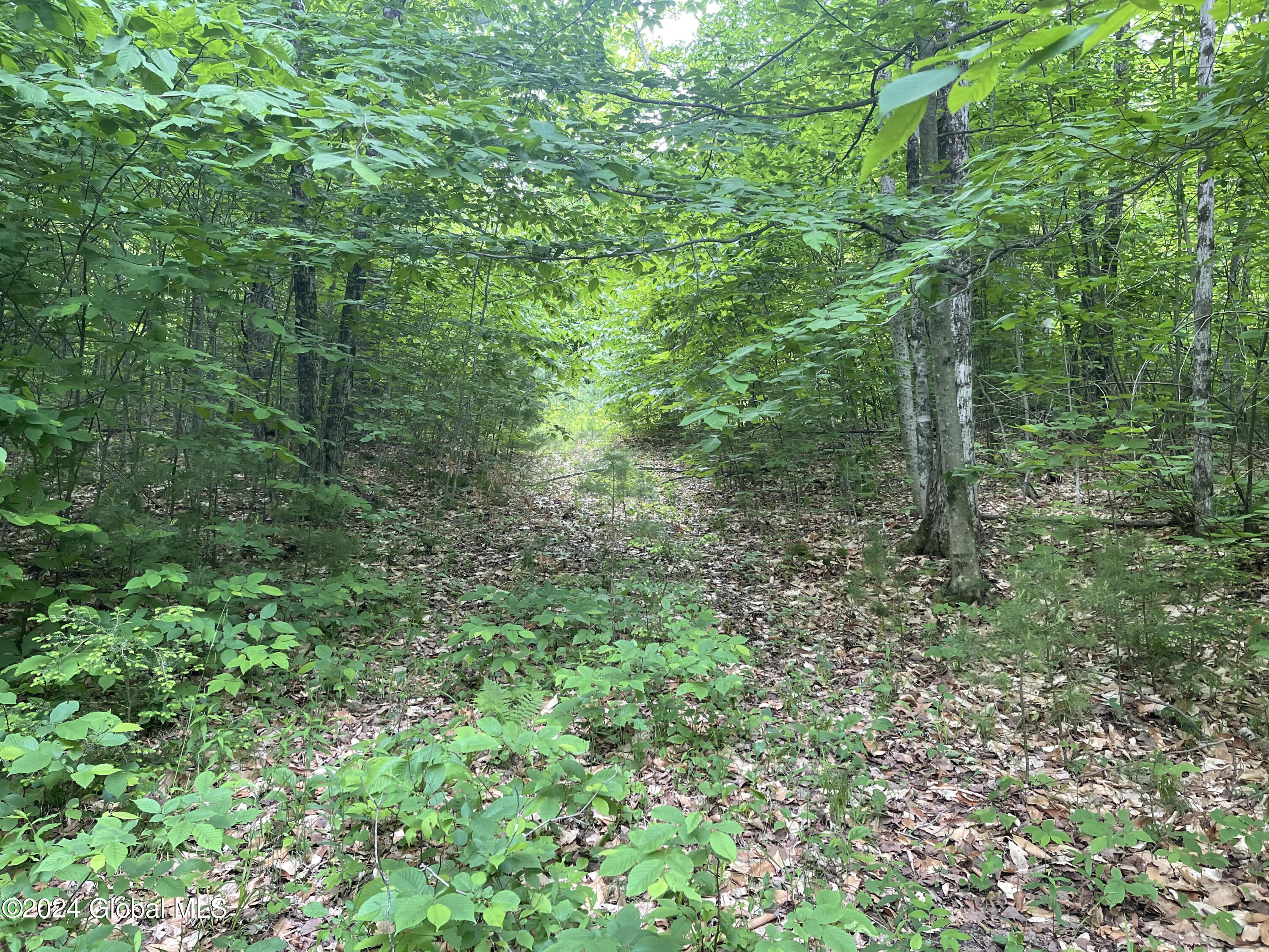 L79 Harris Road in Brant Lake, NY Listed For 115,000.00 by Julia