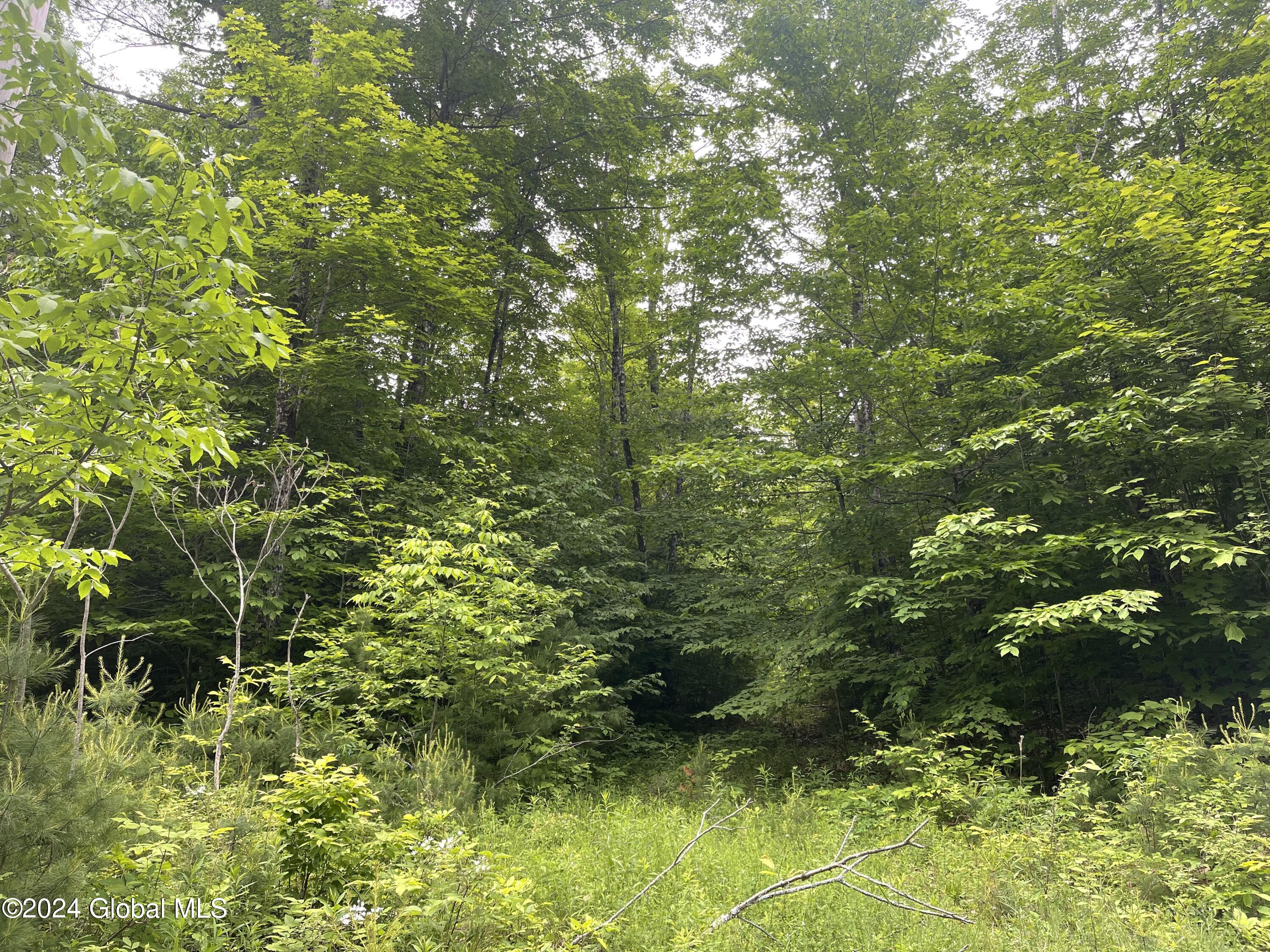 L79 Harris Road In Brant Lake NY Listed For 115 000 00 By Julia l79-harris-road-in-brant-lake-ny-listed-for-115-000-00-by-julia