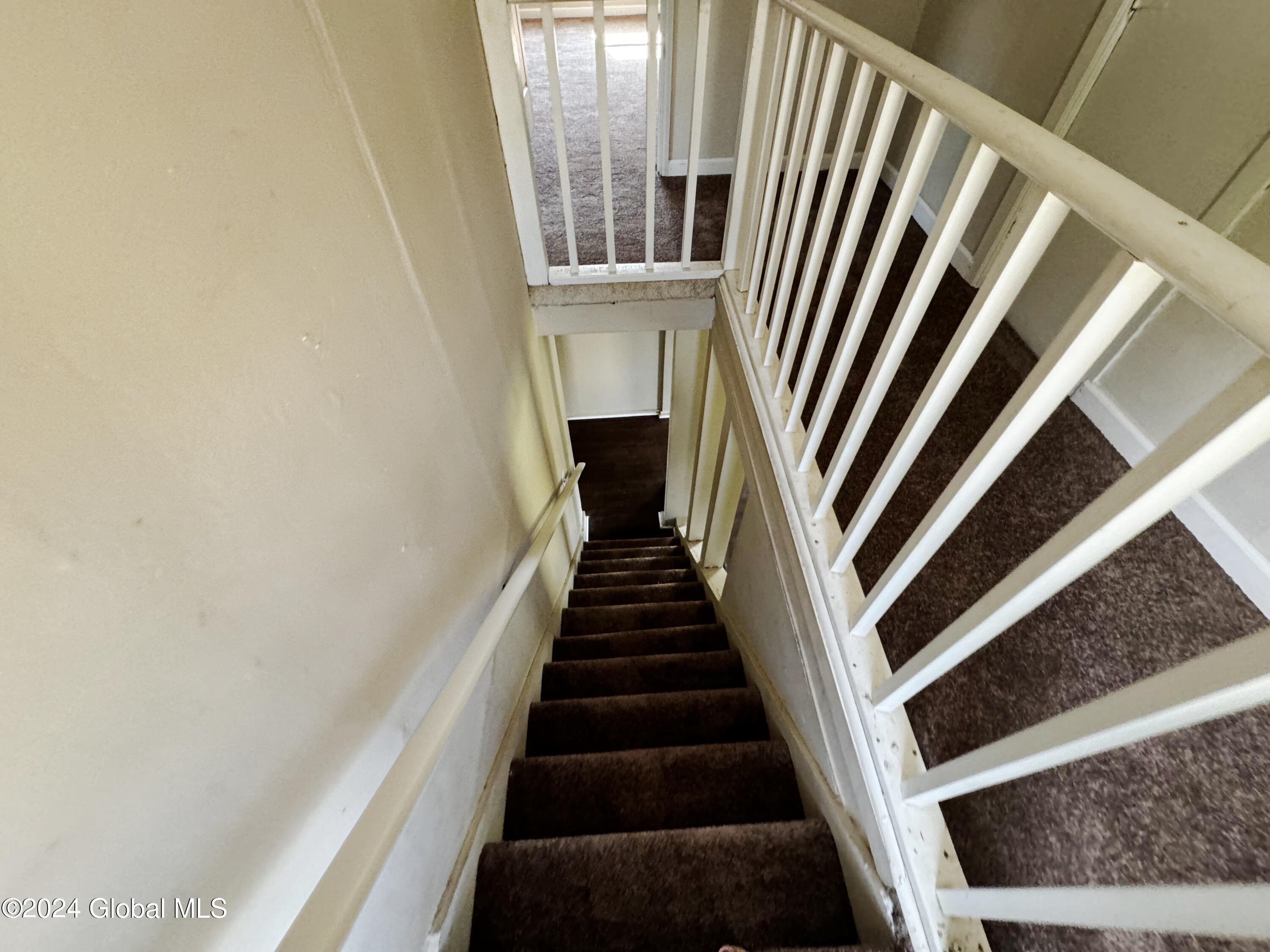 Lester Street Murders: 7 Unexplained Mysteries That Will Haunt You - hhfqdh2
