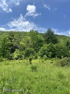 L5.126 Tae Kwon Road North Blenheim, NY 12131