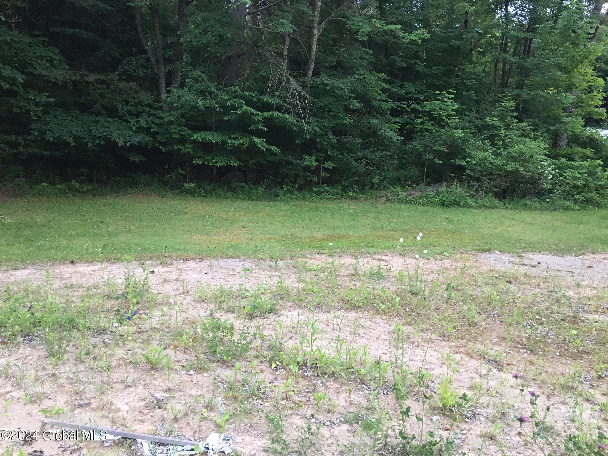 20 Road, Horicon, NY Homes for Sale in Lake Bolton