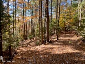 35 Mountain Path North Creek, NY 12853