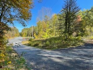 690 Moon Hill Road Lake George, NY 12845