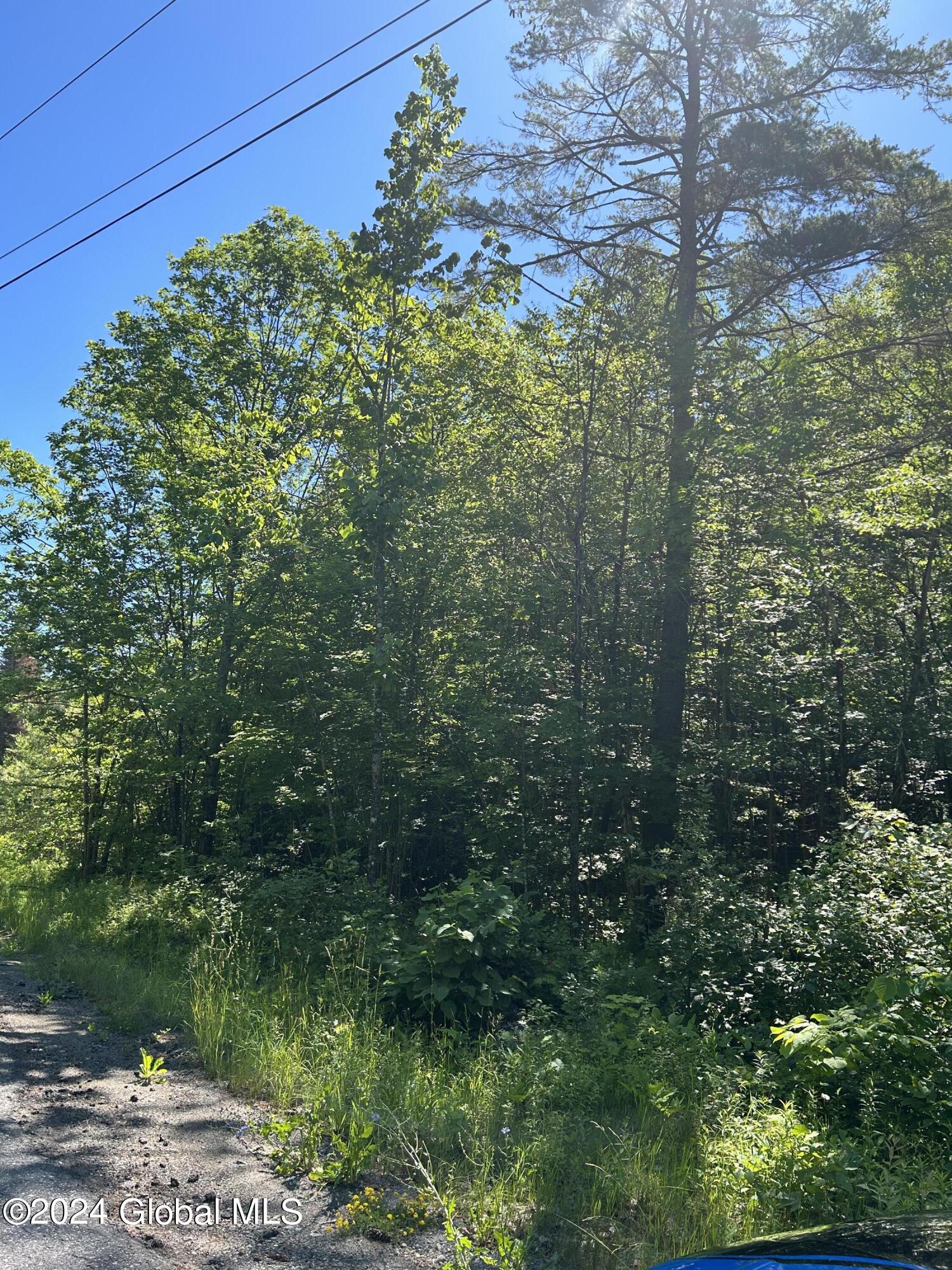 557 Warner Hill Road in Ticonderoga, NY Listed For 25,900.00 by Shelly