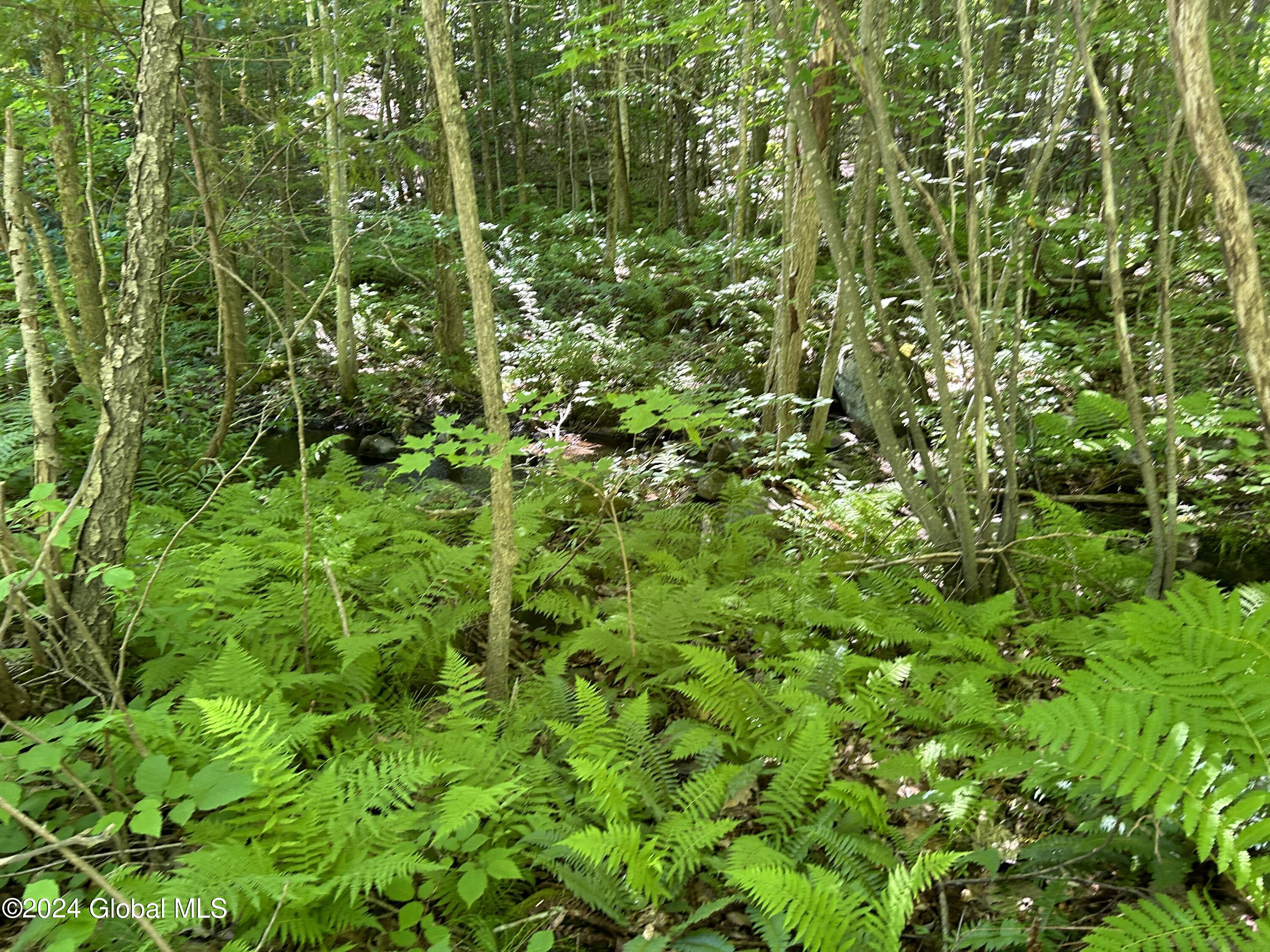 557 Warner Hill Road in Ticonderoga, NY Listed For 25,900.00 by Shelly