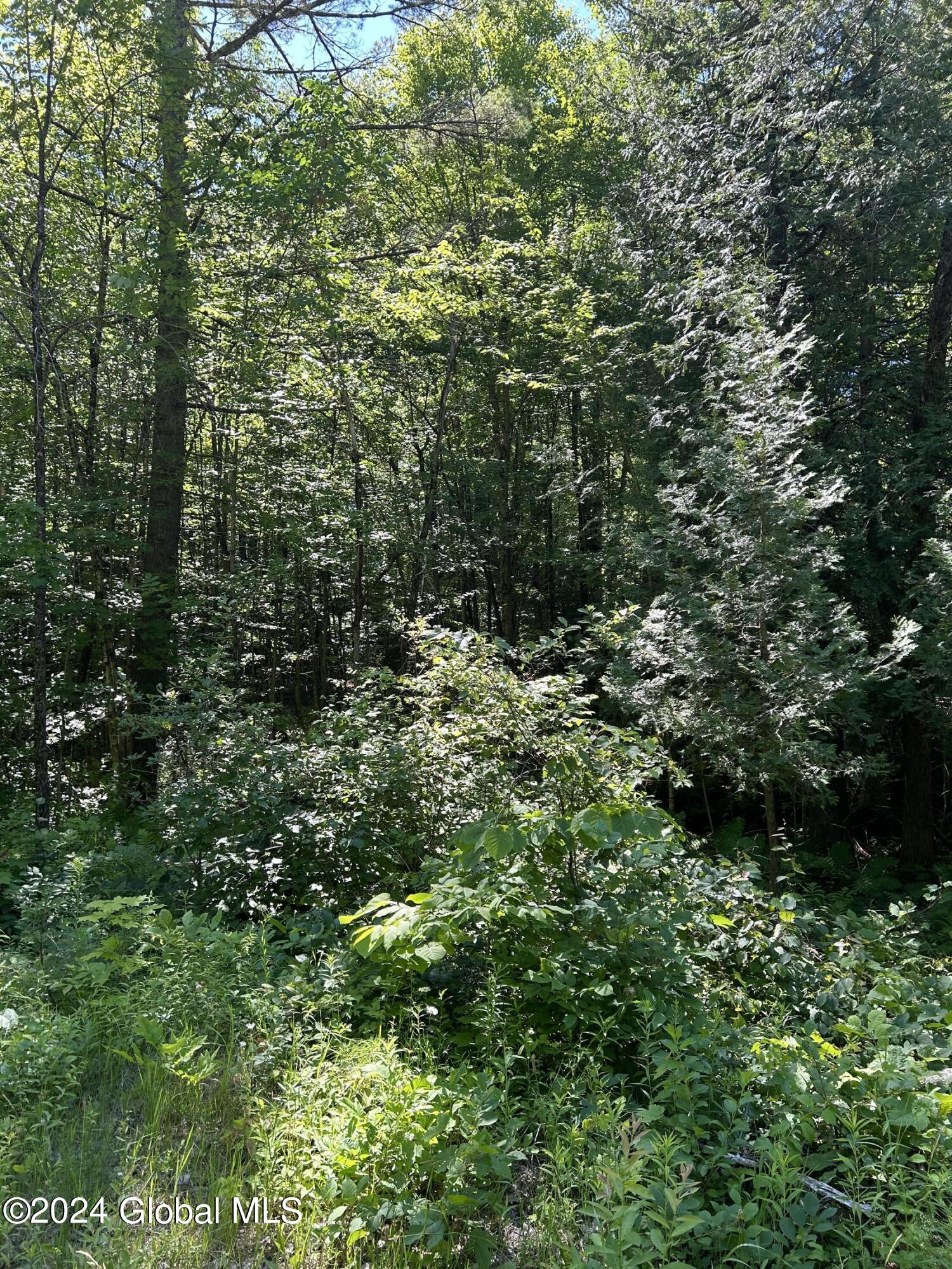 557 Warner Hill Road in Ticonderoga, NY Listed For 25,900.00 by Shelly