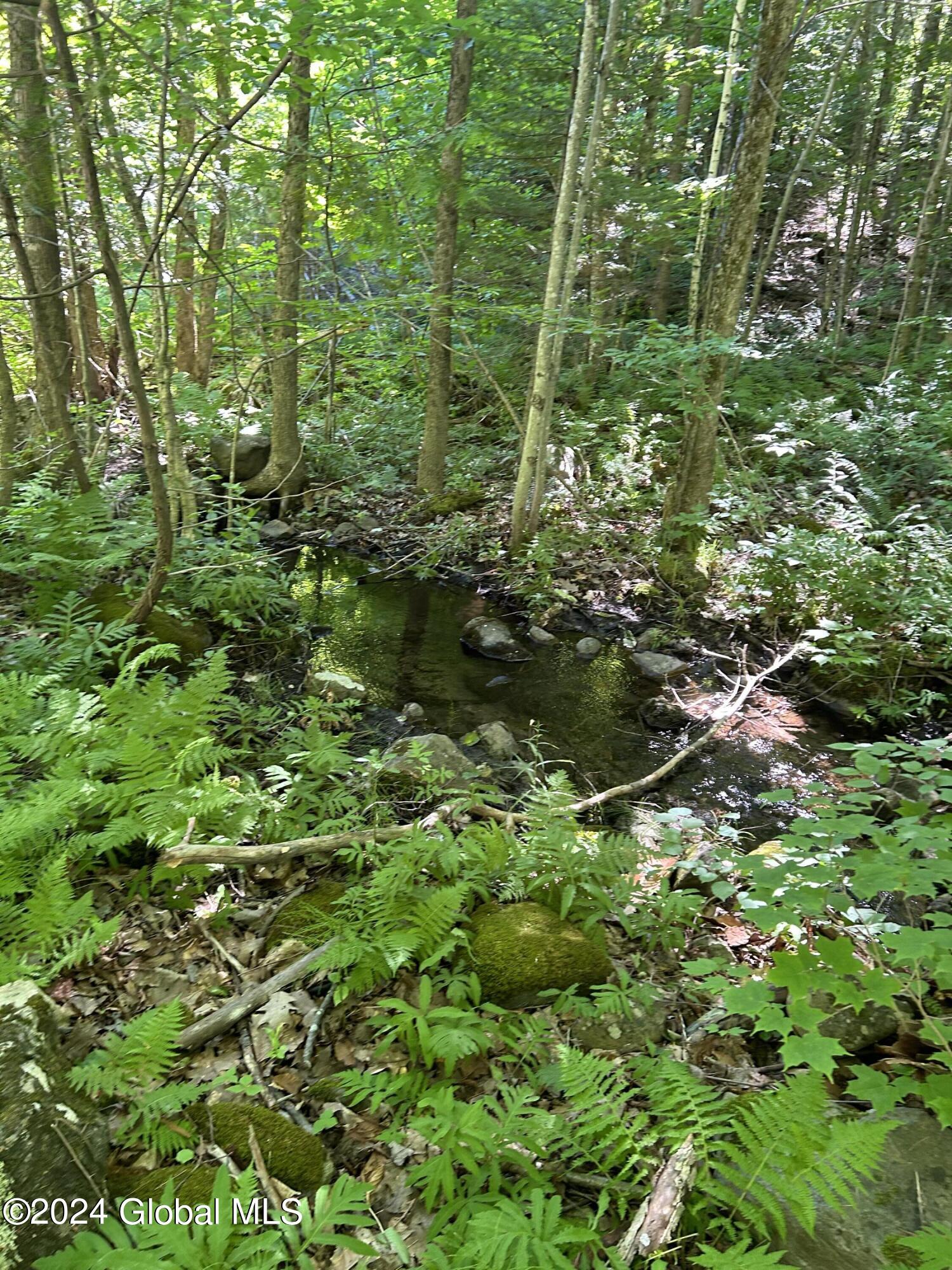 557 Warner Hill Road in Ticonderoga, NY Listed For 25,900.00 by Shelly