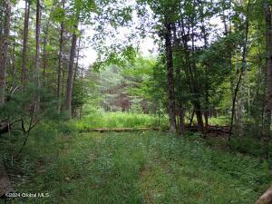 L34 Lane Road North Creek, NY 12853