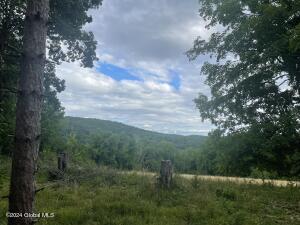 400 Pitts Road Old Chatham, NY 12136