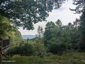 89 Lawrence Road Rear Day, NY 12835