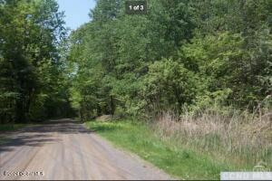 L59.100 Engel Road Chatham, NY 12037