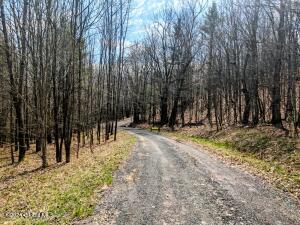 L17 Birchwood Drive Windham, NY 12496