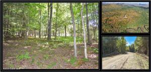 86 Carriage Knoll Road Chestertown, NY 12817