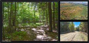 98 Carriage Knoll Road Chestertown, NY 12817
