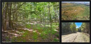102 Carriage Knoll Road Chestertown, NY 12817