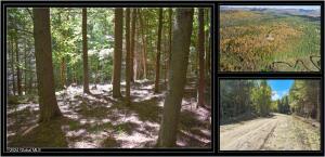 106 Carriage Knoll Road Chestertown, NY 12817
