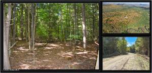 112 Carriage Knoll Road Chestertown, NY 12817
