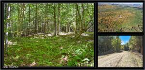85 Carriage Knoll Road Chestertown, NY 12817