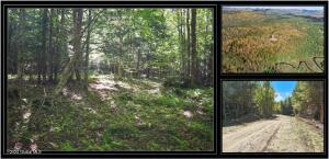 77 Carriage Knoll Road Chestertown, NY 12817