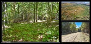 71 Carriage Knoll Road Chestertown, NY 12817